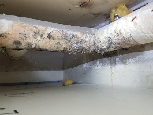 This is a picture of a pipe with mould.